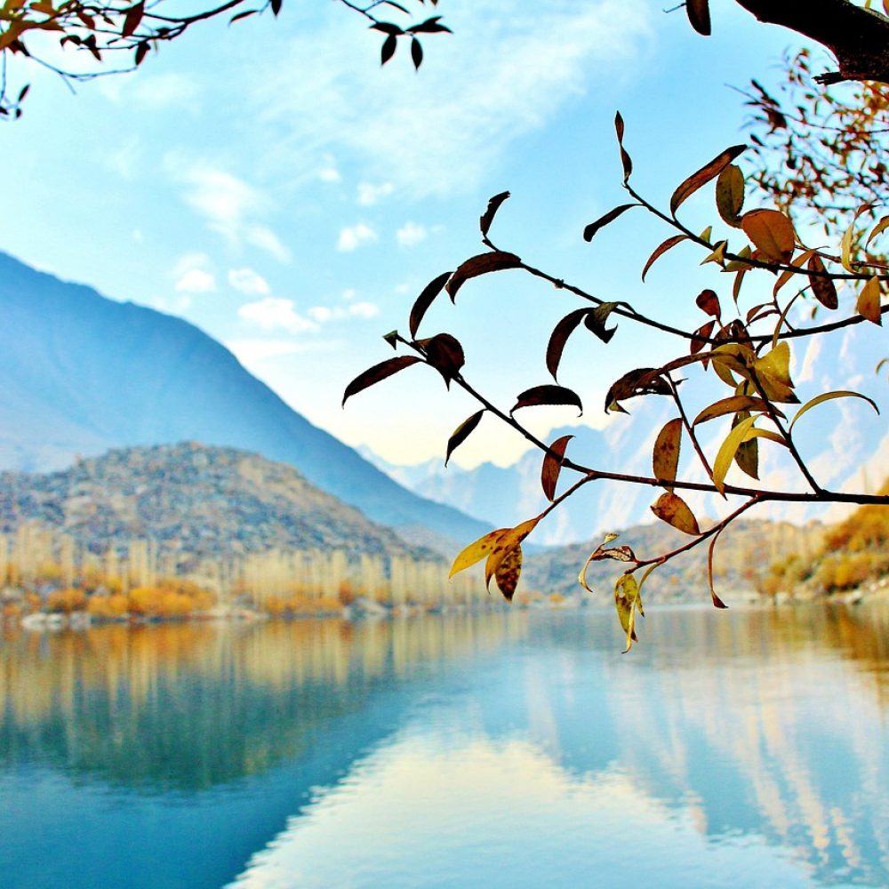 tree, lake, pakistan, nature, landscape, forest, travel, autumn, hill, valley, rock, peak, water, yellow, asia, adventure, colorful, mountains, karakorum, blue, upper kachura lake, skardu, indus river, shangrila lake, pakistan, pakistan, pakistan, pakistan, pakistan